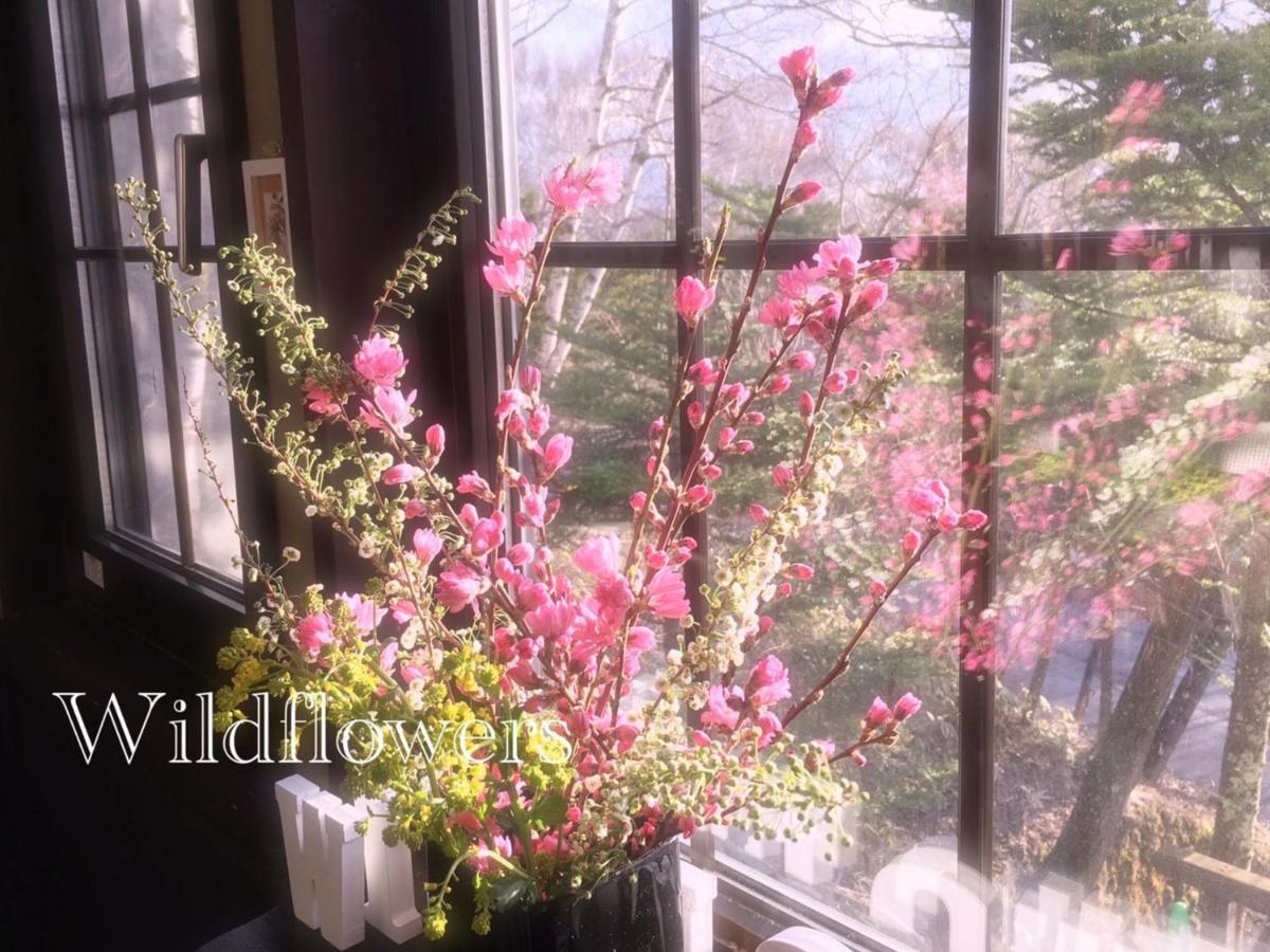 立科町 ペンション・ワイルドフラワー Bed & Breakfast エクステリア 写真